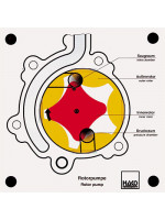 Rotor pump